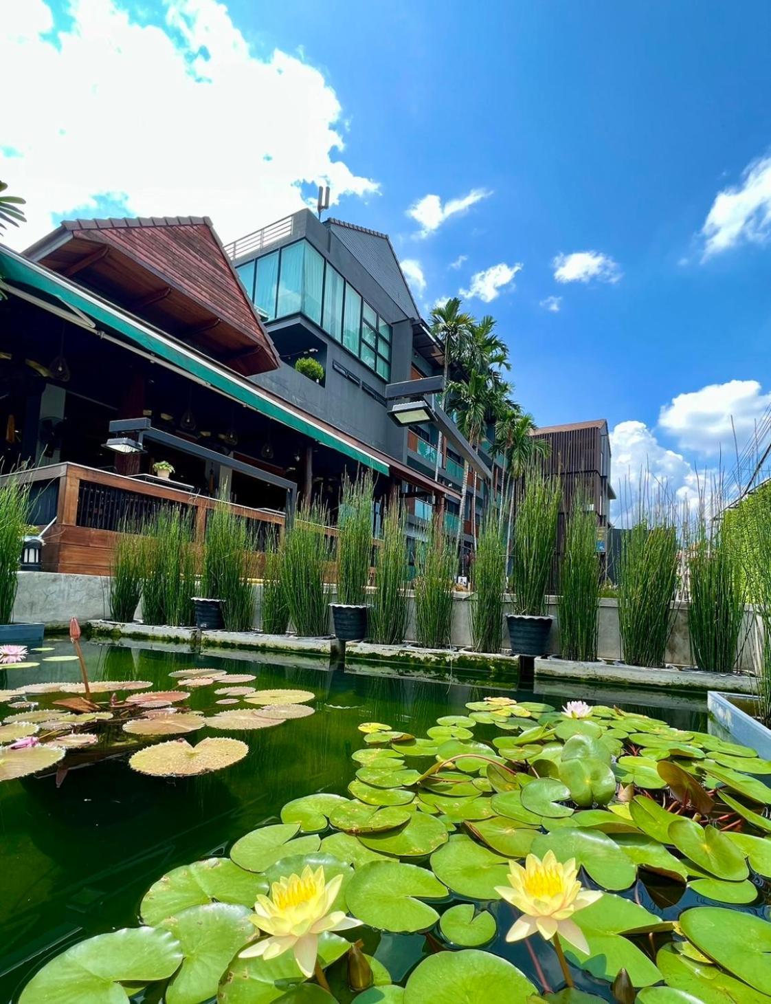 Le Naview @Prasingh Hotell Chiang Mai Exteriör bild
