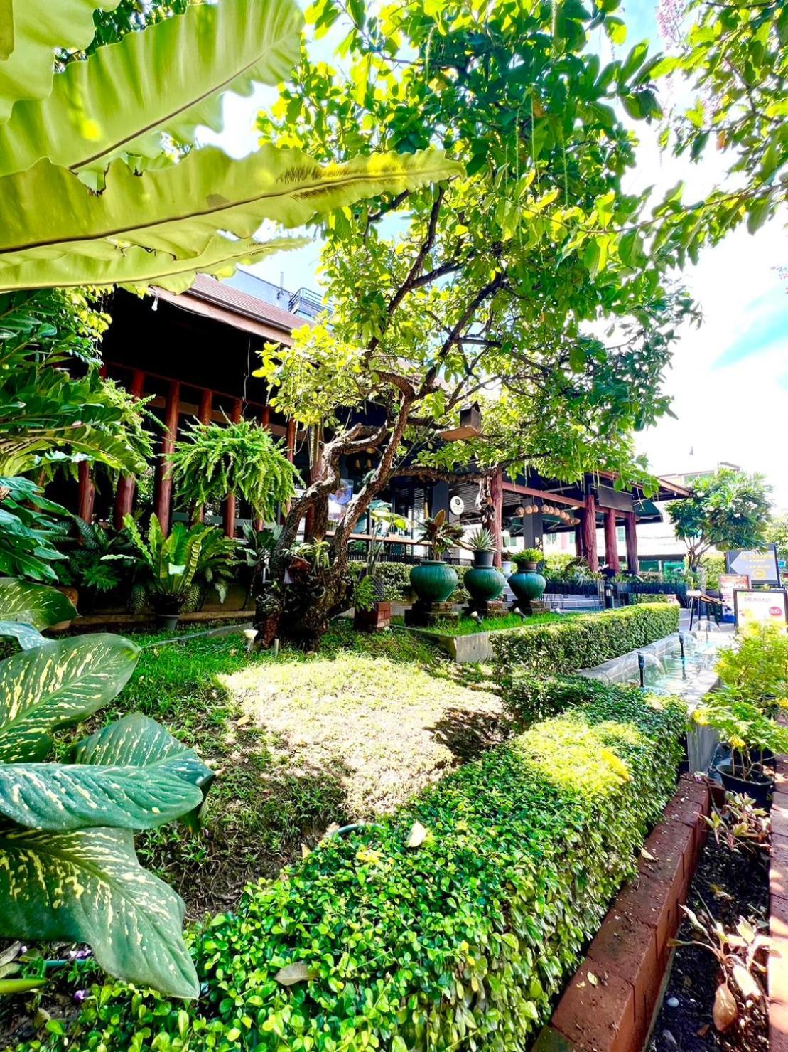 Le Naview @Prasingh Hotell Chiang Mai Exteriör bild